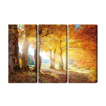 Mehrteiliges Bild Sonniger Herbstwald