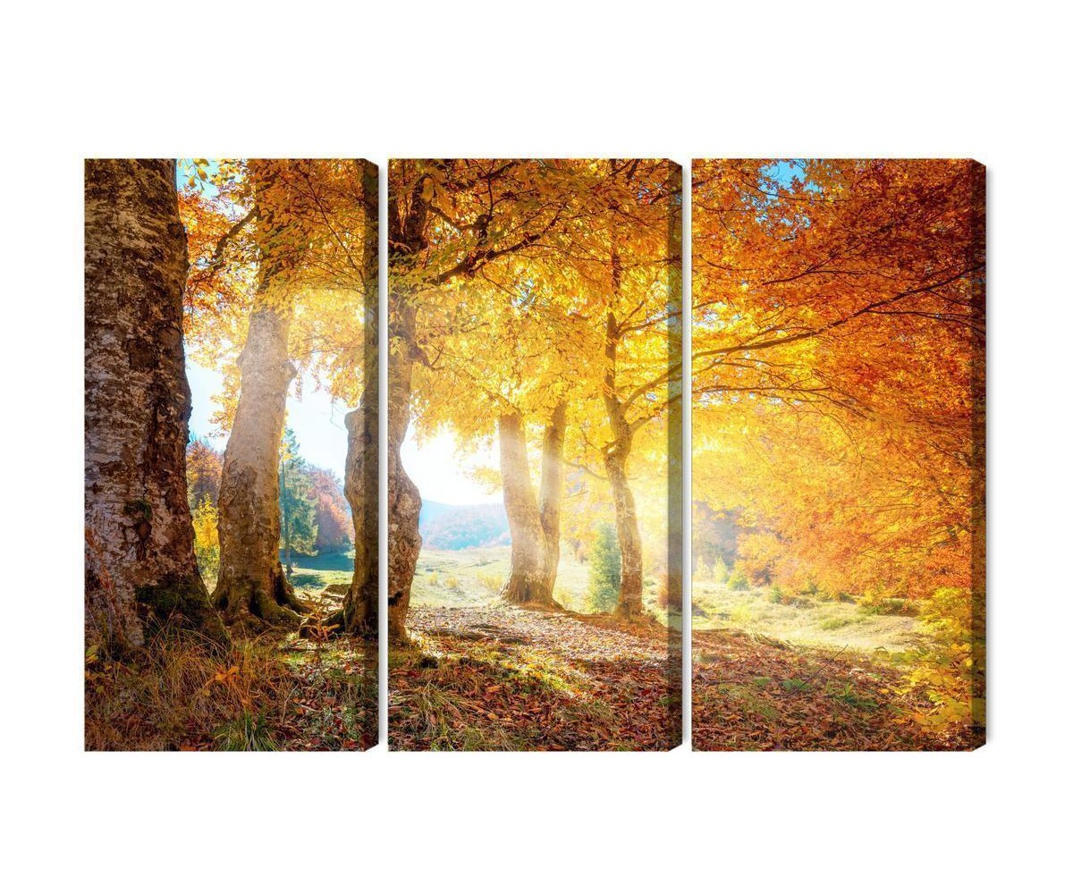 Mehrteiliges Bild Sonniger Herbstwald