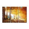 Mehrteiliges Bild Sonniger Herbstwald