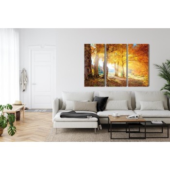 Mehrteiliges Bild Sonniger Herbstwald