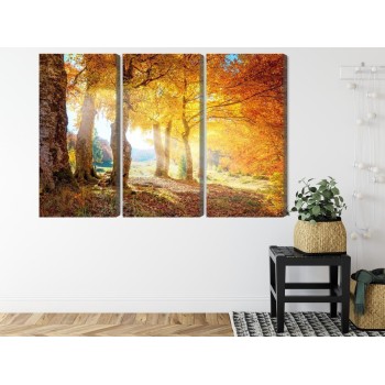 Mehrteiliges Bild Sonniger Herbstwald