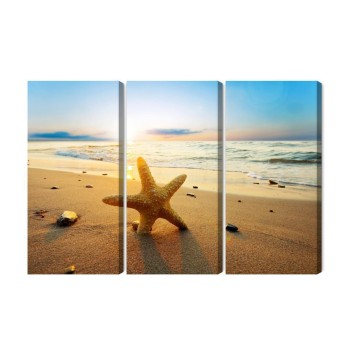 Mehrteiliges Bild Seestern Am Strand 3D
