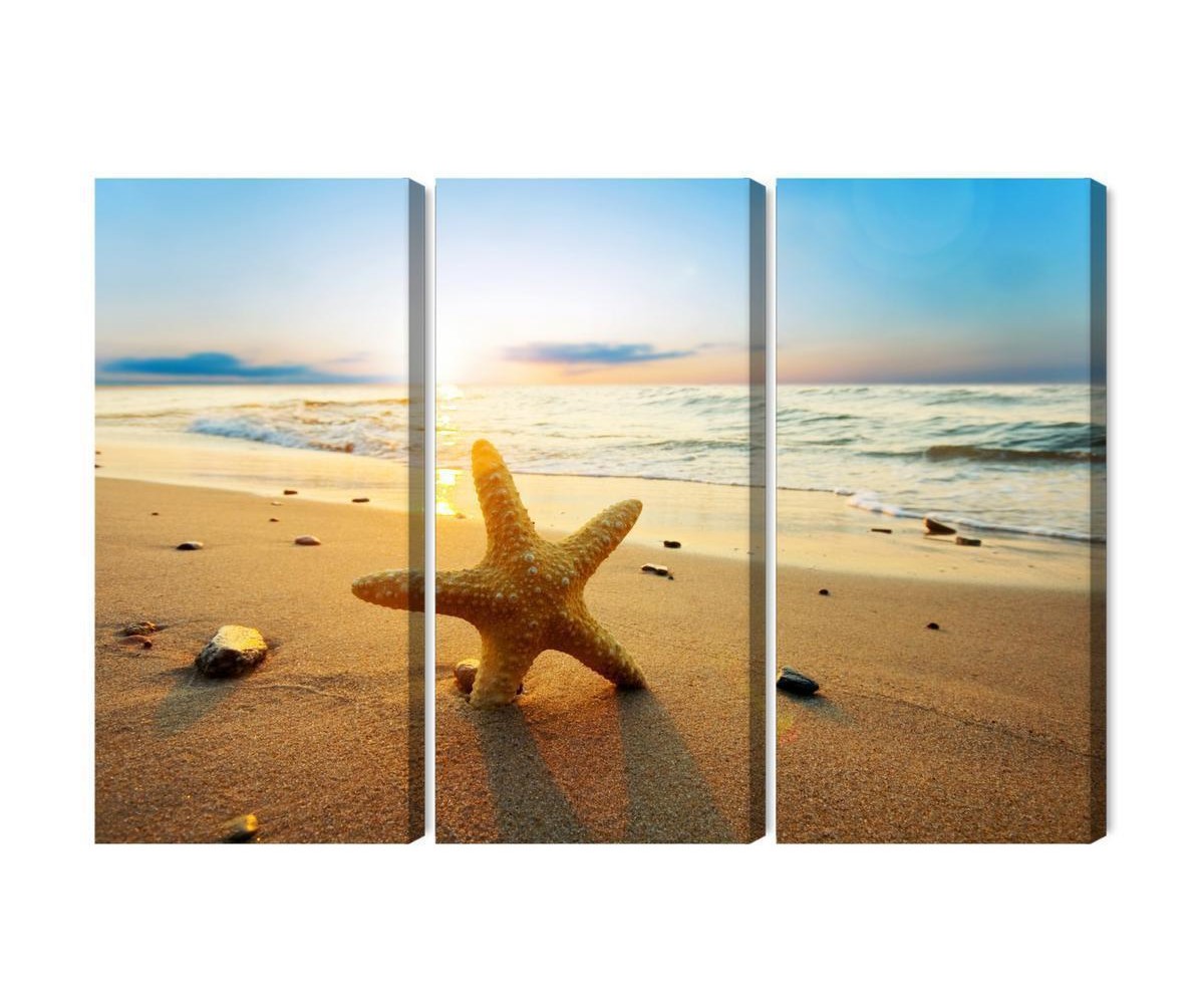 Mehrteiliges Bild Seestern Am Strand 3D