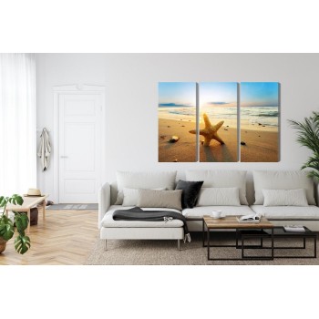 Mehrteiliges Bild Seestern Am Strand 3D