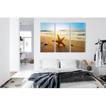 Mehrteiliges Bild Seestern Am Strand 3D