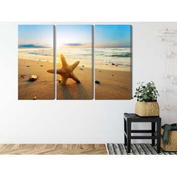 Mehrteiliges Bild Seestern Am Strand 3D