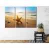 Mehrteiliges Bild Seestern Am Strand 3D