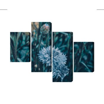Mehrteiliges Bild Kornblumen Auf Der Wiese 3D