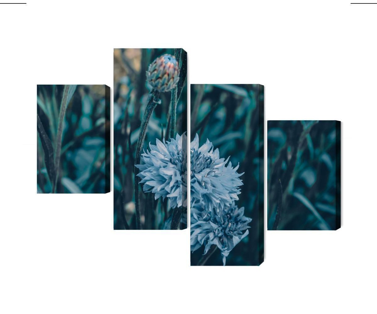 Mehrteiliges Bild Kornblumen Auf Der Wiese 3D