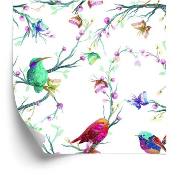 Tapete Bunte Vögel Auf Farbigem Hintergrund