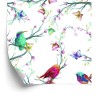 Tapete Bunte Vögel Auf Farbigem Hintergrund
