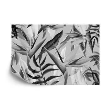 Fototapete Tropicalia Schwarz  Weiß