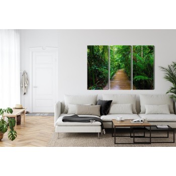 Mehrteiliges Bild Holzbrücke In Einem Tropischen Wald 3D