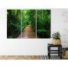 Mehrteiliges Bild Holzbrücke In Einem Tropischen Wald 3D