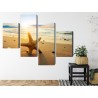 Mehrteiliges Bild Seestern Am Strand 3D