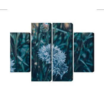 Mehrteiliges Bild Kornblumen Auf Der Wiese 3D