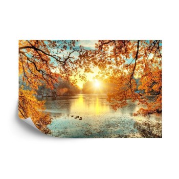 Fototapete Herbstlicher Sonnenuntergang