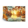 Fototapete Herbstlicher Sonnenuntergang