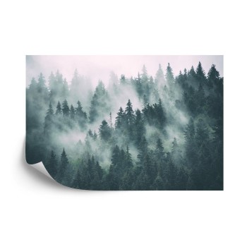 Fototapete Wald Im Nebel