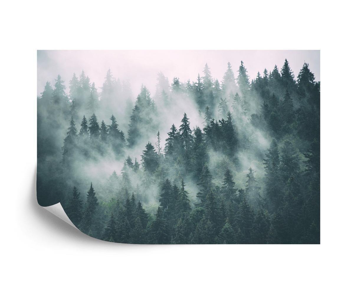 Fototapete Wald Im Nebel