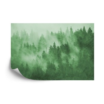 Fototapete Wald Im Nebel In Grün
