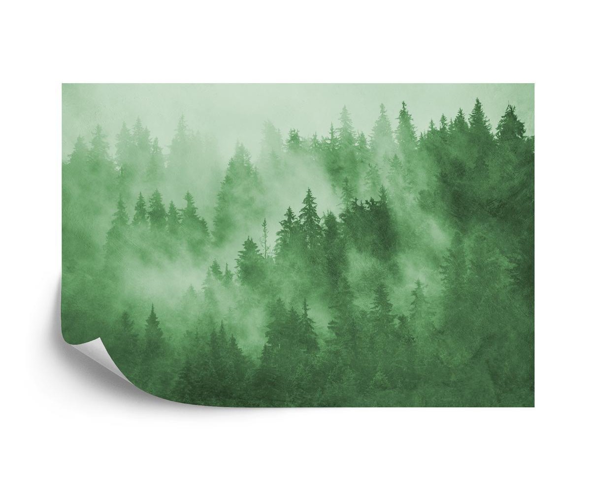Fototapete Wald Im Nebel In Grün
