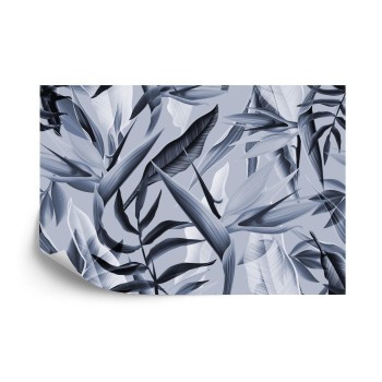 Fototapete Tropicalia-Blau