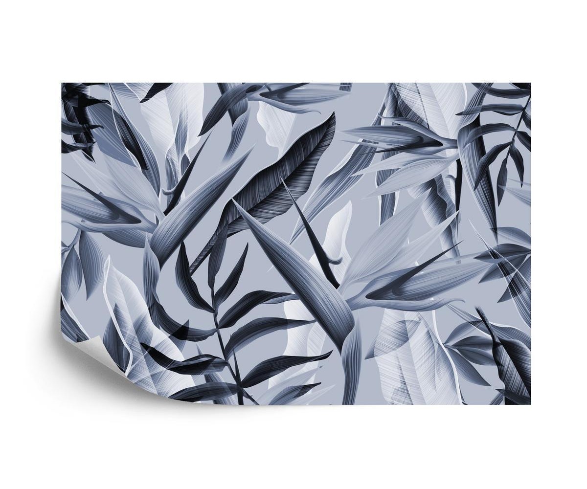 Fototapete Tropicalia-Blau