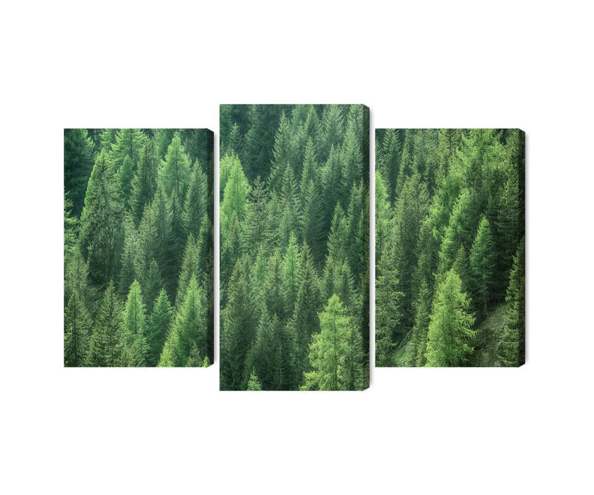 Mehrteiliges Bild 3D-Ansicht Des Grünen Waldes