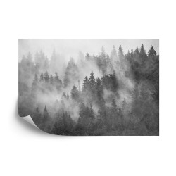Fototapete Wald Im Nebel Strukturiertes Schwarz U. Weiß