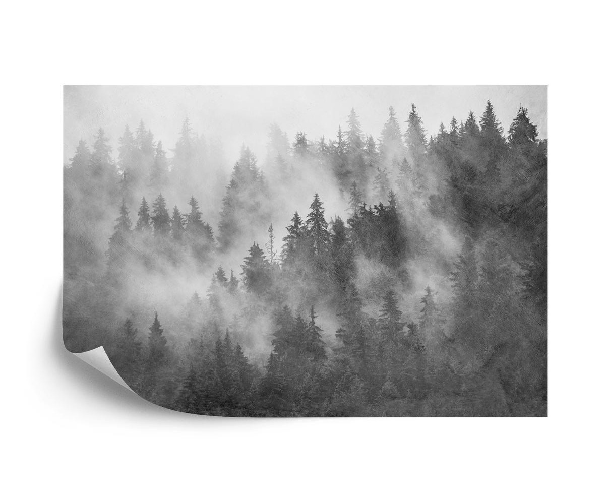 Fototapete Wald Im Nebel Strukturiertes Schwarz U. Weiß