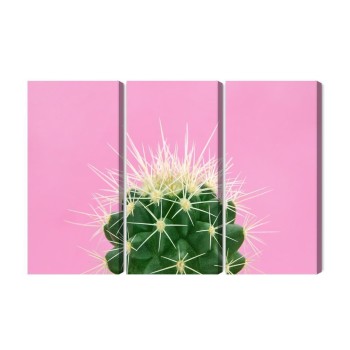 Mehrteiliges Bild Kaktus Auf Einem Rosa Hintergrund
