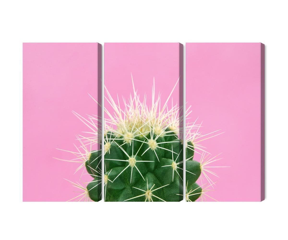 Mehrteiliges Bild Kaktus Auf Einem Rosa Hintergrund