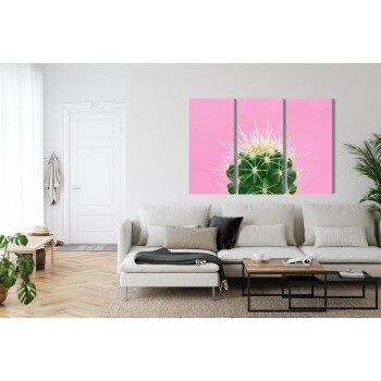 Mehrteiliges Bild Kaktus Auf Einem Rosa Hintergrund
