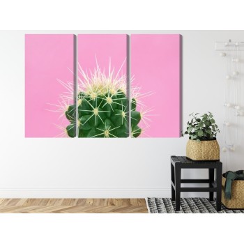 Mehrteiliges Bild Kaktus Auf Einem Rosa Hintergrund