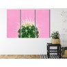 Mehrteiliges Bild Kaktus Auf Einem Rosa Hintergrund