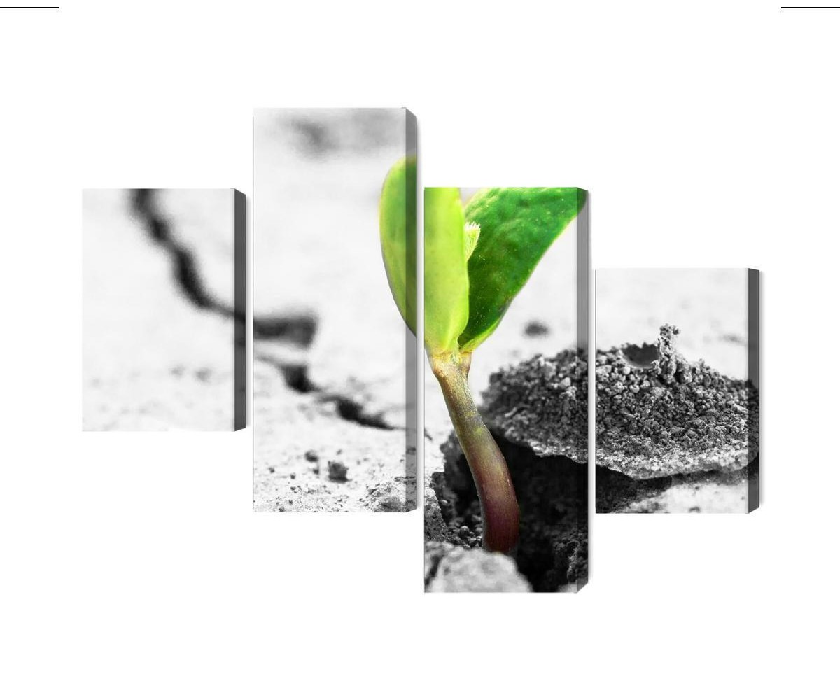 Mehrteiliges Bild 3D-Pflanzenkeimung