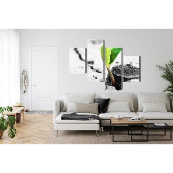 Mehrteiliges Bild 3D-Pflanzenkeimung