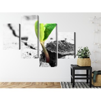 Mehrteiliges Bild 3D-Pflanzenkeimung