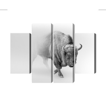Mehrteiliges Bild Bison Im Nebel 3D