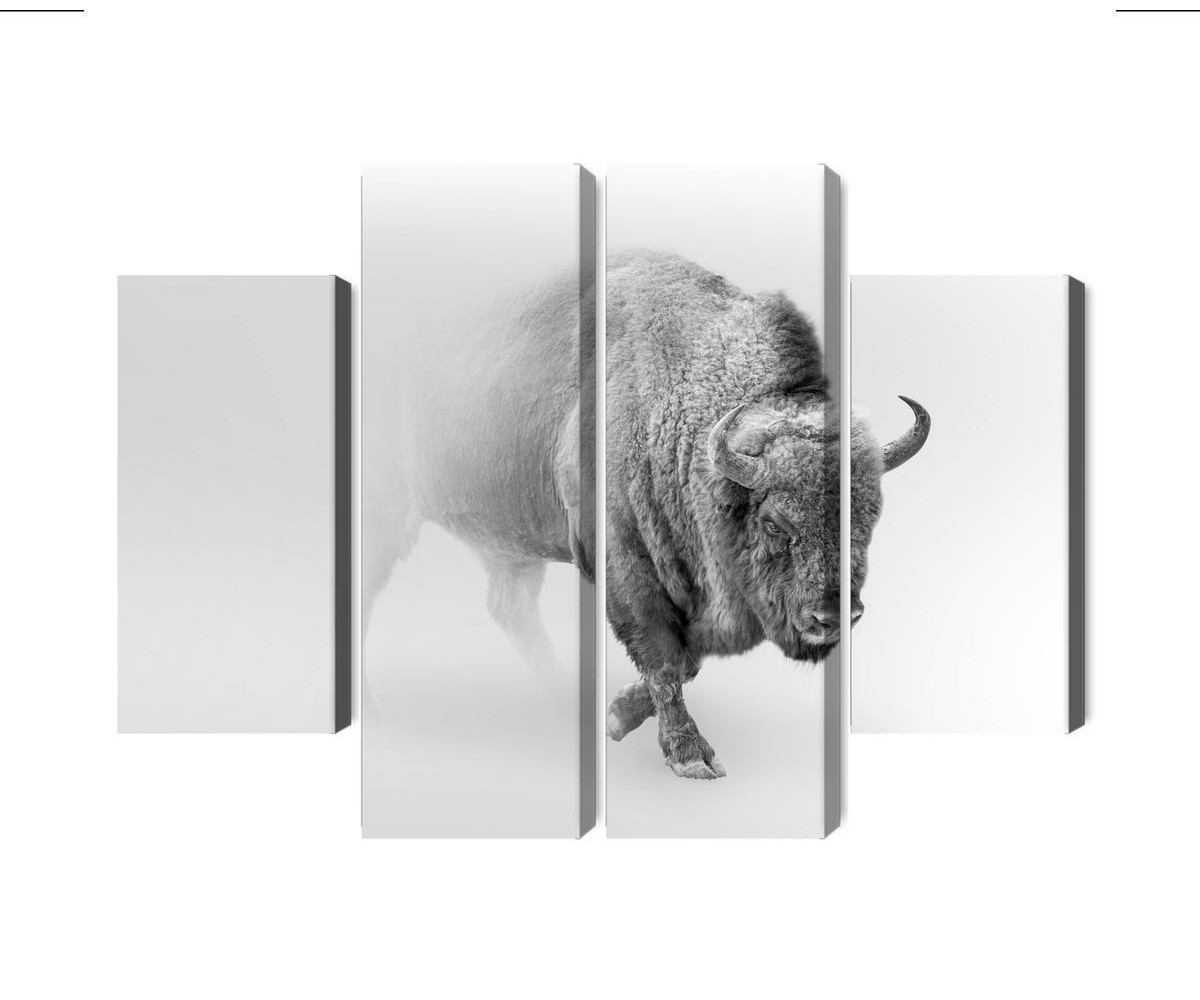 Mehrteiliges Bild Bison Im Nebel 3D