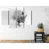Mehrteiliges Bild Bison Im Nebel 3D