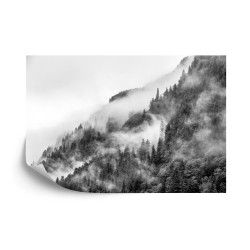 Fototapete Nebel Im Wald Noir