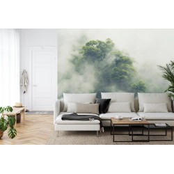 Fototapete Tropical Forest In Japan  Nature Jungle With Green Tree And Fog  Concept Of Zin Therapy Comfortable Freedom R