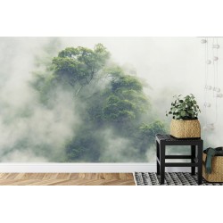 Fototapete Tropical Forest In Japan  Nature Jungle With Green Tree And Fog  Concept Of Zin Therapy Comfortable Freedom R