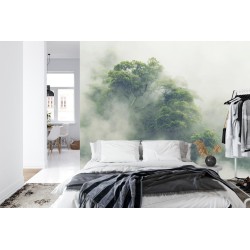 Fototapete Tropical Forest In Japan  Nature Jungle With Green Tree And Fog  Concept Of Zin Therapy Comfortable Freedom R