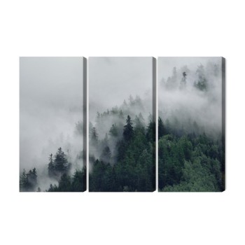 Mehrteiliges Bild Grüner Nebliger Wald