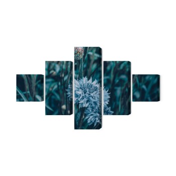 Mehrteiliges Bild Kornblumen Auf Der Wiese 3D
