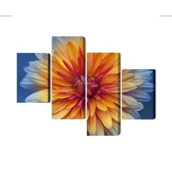 Mehrteiliges Bild Chrysanthemenblume Hautnah 3D