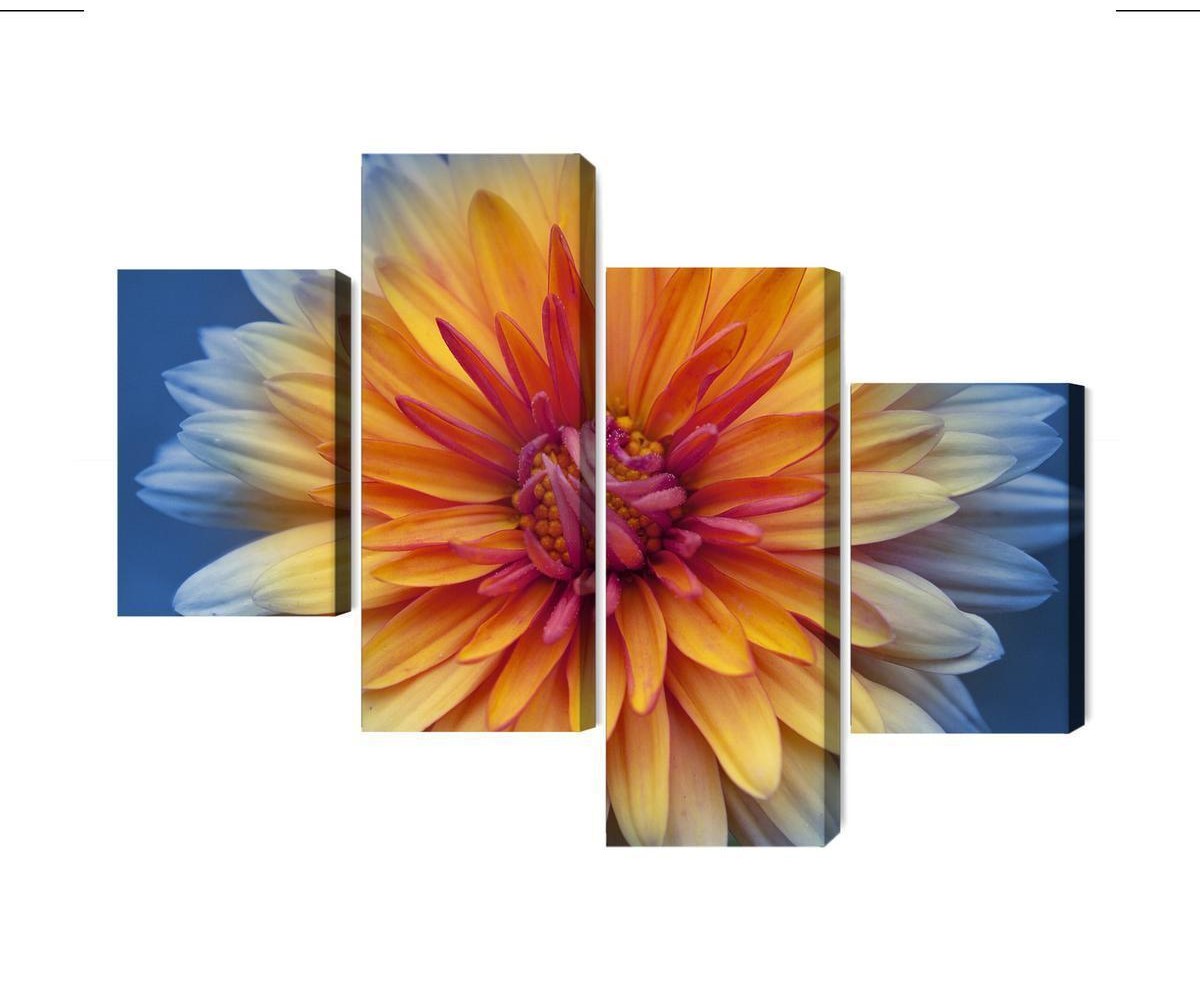 Mehrteiliges Bild Chrysanthemenblume Hautnah 3D
